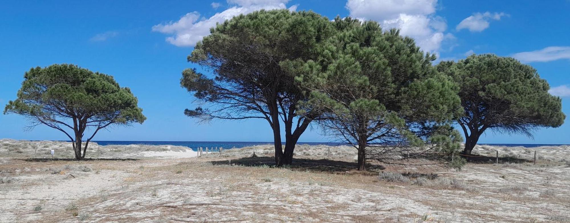 Resort Abbaia Ba Будони Экстерьер фото