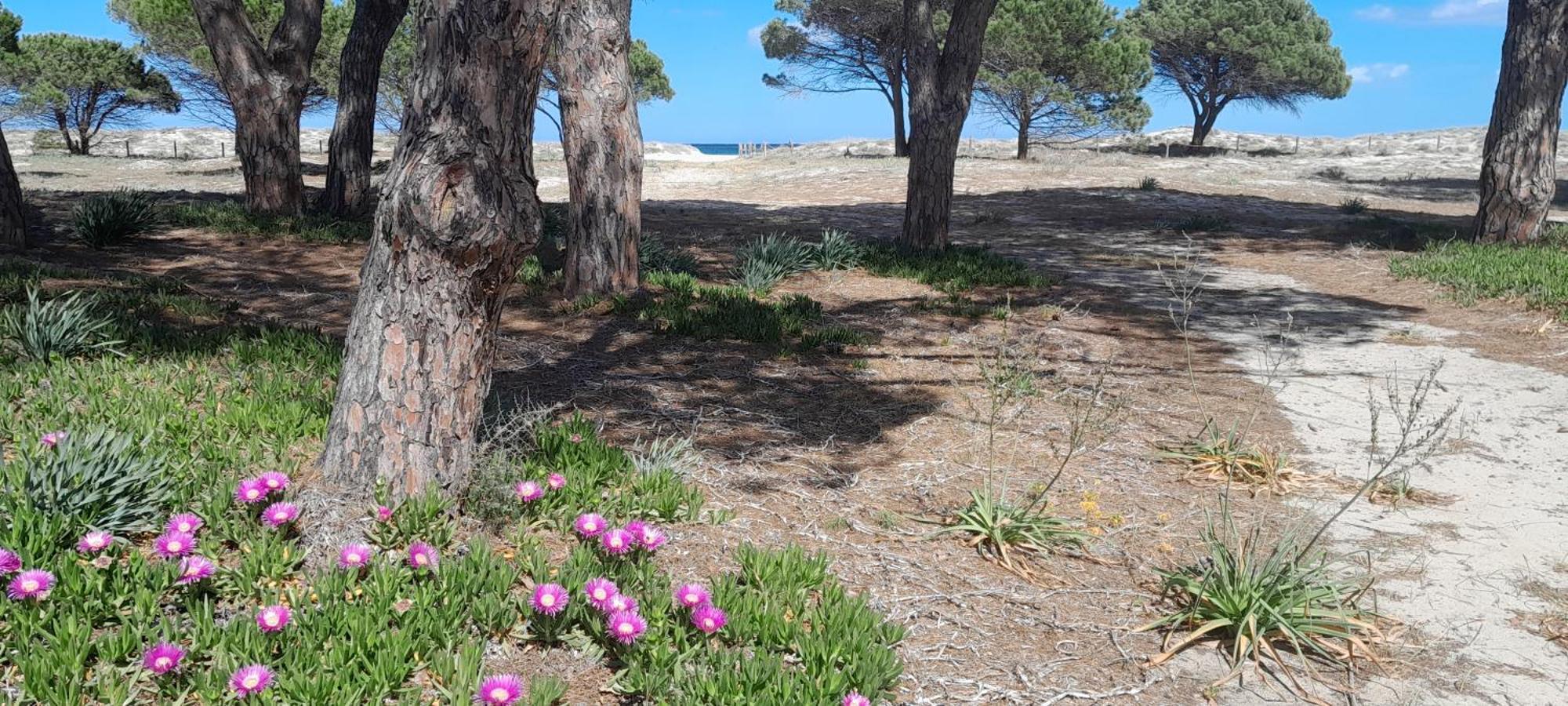 Resort Abbaia Ba Будони Экстерьер фото