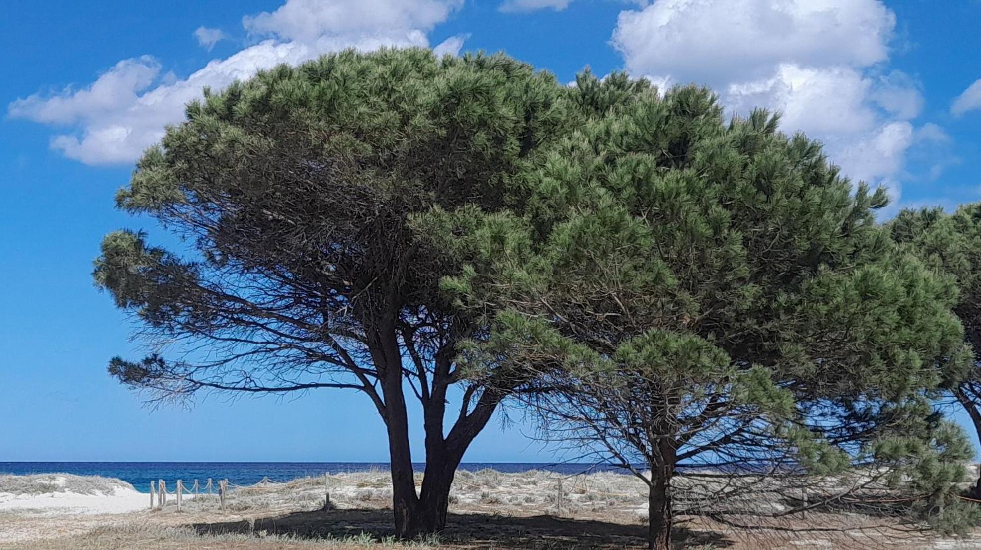 Resort Abbaia Ba Будони Экстерьер фото