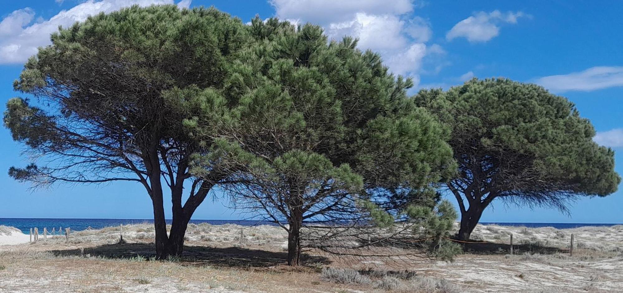 Resort Abbaia Ba Будони Экстерьер фото