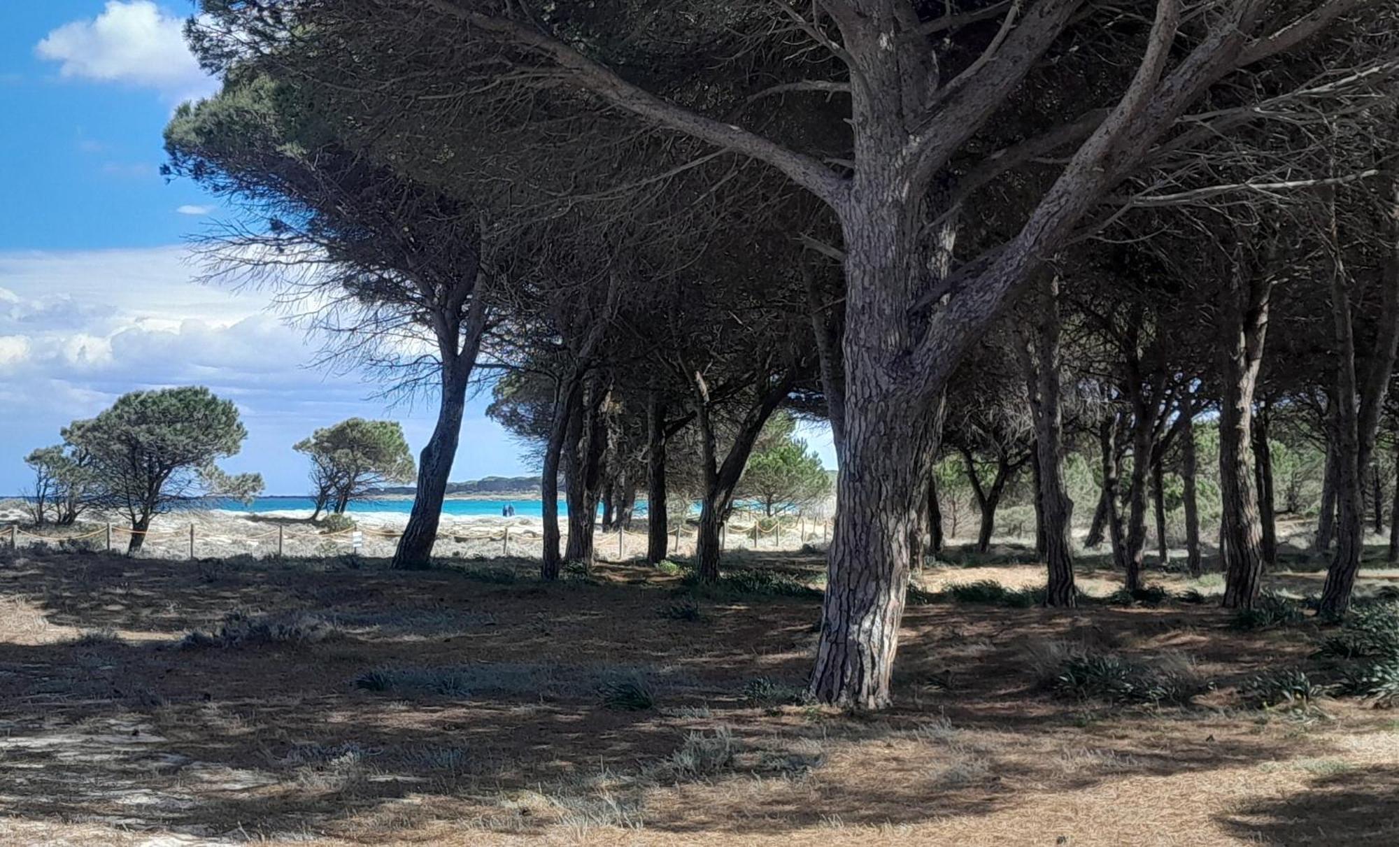 Resort Abbaia Ba Будони Экстерьер фото
